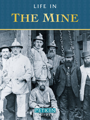 cover image of Life in the Mine